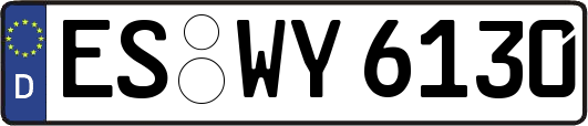 ES-WY6130