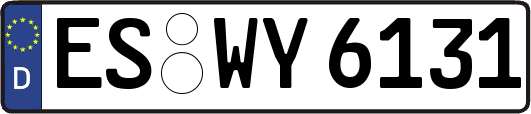 ES-WY6131