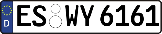 ES-WY6161