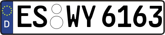 ES-WY6163