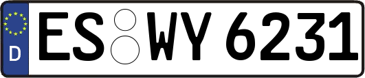 ES-WY6231