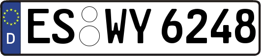 ES-WY6248