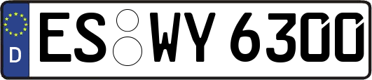 ES-WY6300