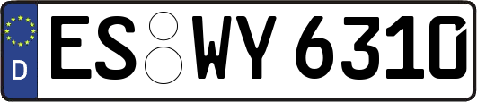 ES-WY6310