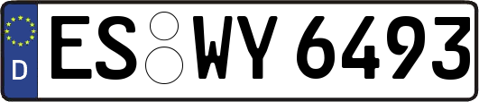 ES-WY6493