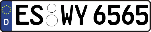 ES-WY6565