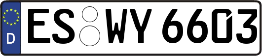 ES-WY6603