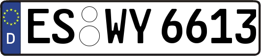 ES-WY6613