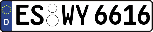 ES-WY6616