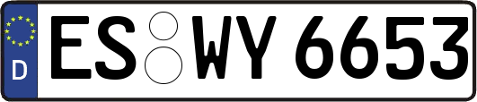 ES-WY6653