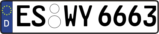 ES-WY6663