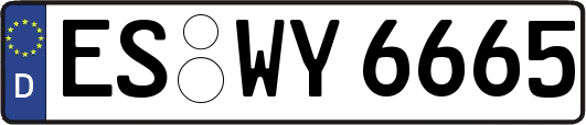 ES-WY6665