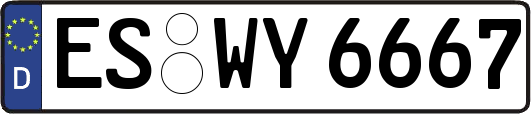 ES-WY6667