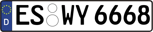 ES-WY6668