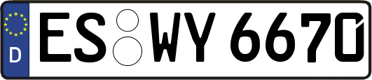 ES-WY6670