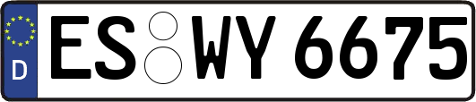 ES-WY6675