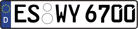ES-WY6700