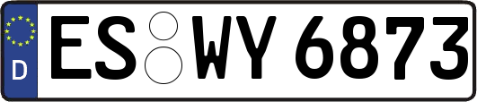 ES-WY6873