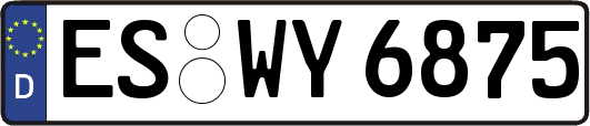 ES-WY6875