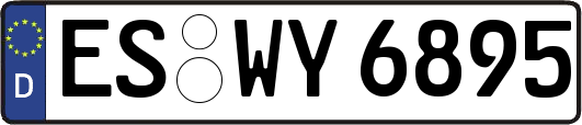 ES-WY6895