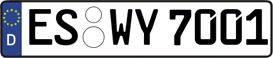 ES-WY7001
