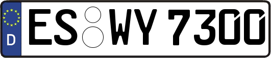 ES-WY7300