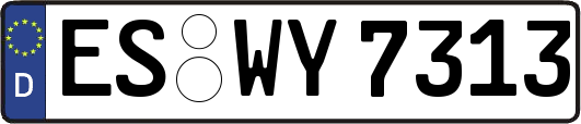 ES-WY7313