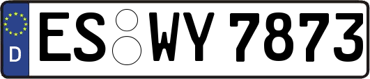 ES-WY7873