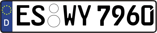 ES-WY7960