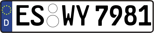 ES-WY7981