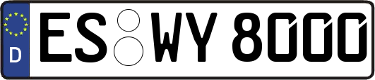 ES-WY8000