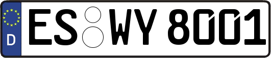 ES-WY8001