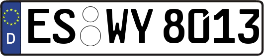 ES-WY8013