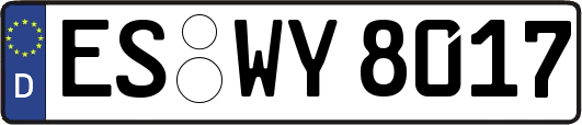 ES-WY8017