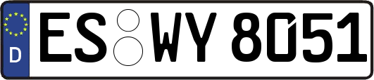 ES-WY8051
