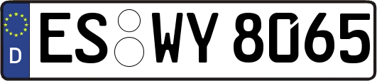 ES-WY8065