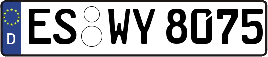 ES-WY8075