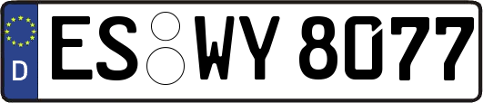 ES-WY8077