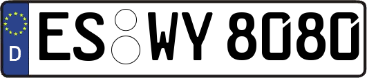 ES-WY8080
