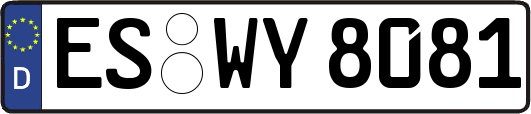 ES-WY8081