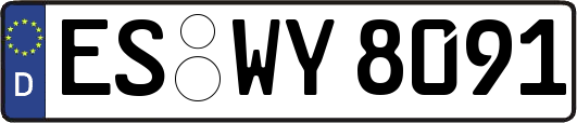 ES-WY8091