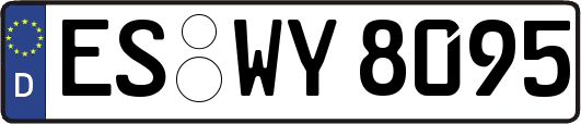 ES-WY8095