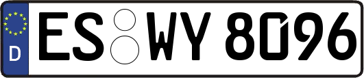 ES-WY8096