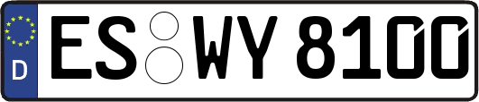 ES-WY8100