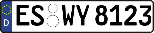 ES-WY8123