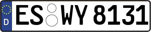 ES-WY8131