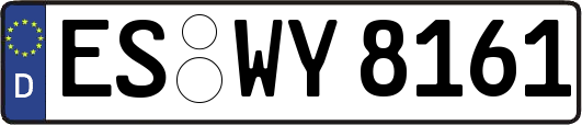 ES-WY8161