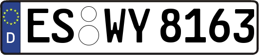ES-WY8163