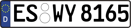 ES-WY8165