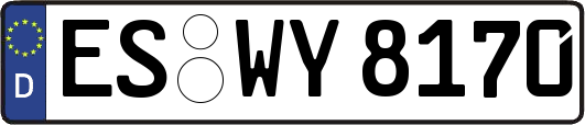 ES-WY8170